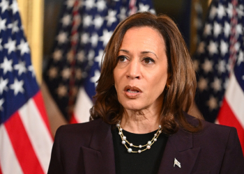 US Vice President Kamala Harris speaks to the press after meeting with Israeli Prime Minister Benjamin Netanyahu on July 25, 2024 / ©AFP