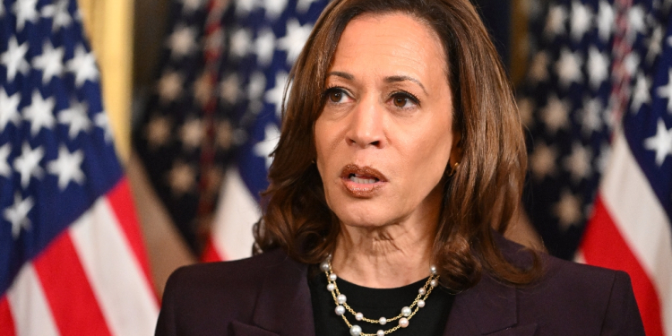 US Vice President Kamala Harris speaks to the press after meeting with Israeli Prime Minister Benjamin Netanyahu on July 25, 2024 / ©AFP