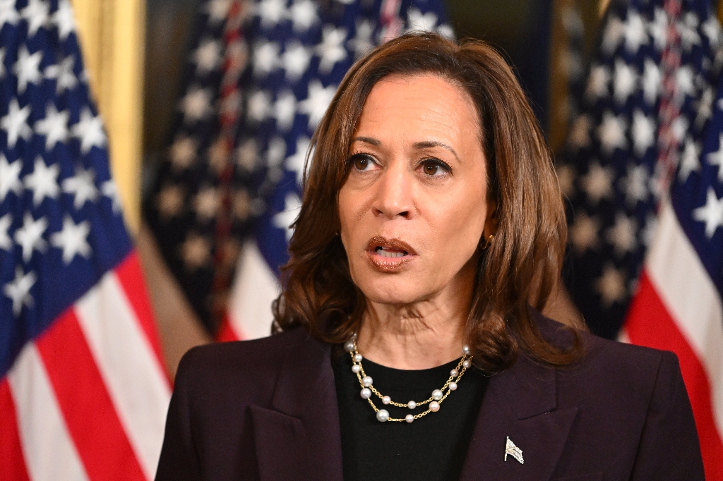 US Vice President Kamala Harris speaks to the press after meeting with Israeli Prime Minister Benjamin Netanyahu on July 25, 2024 / ©AFP