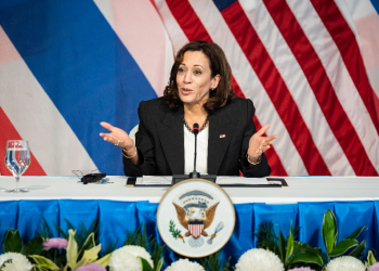 The so-called 'KHive' -- Kamala Harris's online fandom -- is hoping memes about the vice president will help propel her all the way to the Oval Office / ©AFP