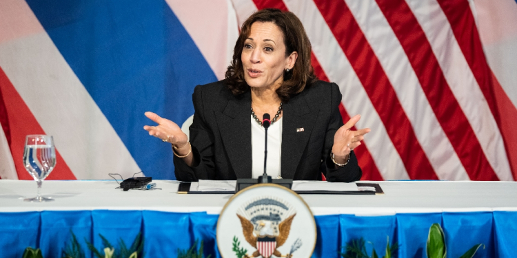 The so-called 'KHive' -- Kamala Harris's online fandom -- is hoping memes about the vice president will help propel her all the way to the Oval Office / ©AFP