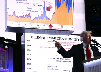 Republican presidential candidate Donald Trump, a frequent harsh critic of illegal immigration, addresses the Republican National Convention in Milwaukee, Wisconsin on July 18, 2024 / ©AFP