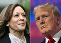 Vice President Kamala Harris is highlighting her law enforcement background as she takes on Donald Trump for the White House / ©AFP