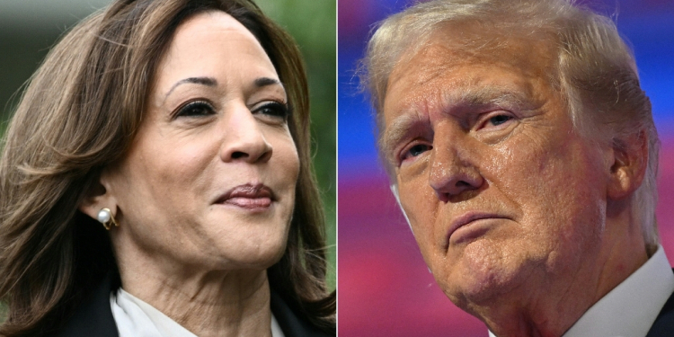 Vice President Kamala Harris is highlighting her law enforcement background as she takes on Donald Trump for the White House / ©AFP