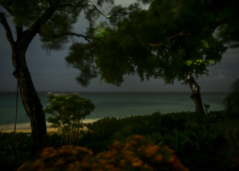 Strong winds blow as Hurricane Beryl approaches Bridgetown, Barbados on July 1, 2024. ©AFP