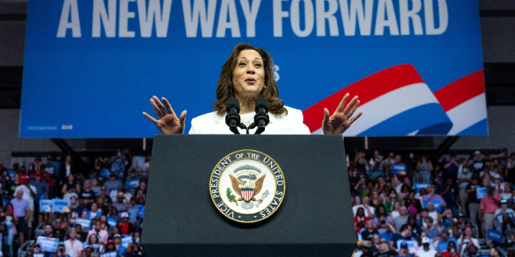 Democratic presidential candidate Kamala Harris speaks at a campaign rally in Savannah, Georgia on August 29, 2024 / ©AFP