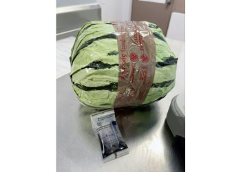 US Customs and Border Protection recovered a package wrapped in paper made to look like a watermelon but  in fact contained methamphetamine packed to move across the US-Mexico border, as shown in this handout image released on August 20, 2024. ©AFP