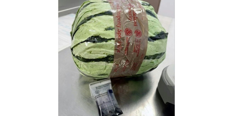 US Customs and Border Protection recovered a package wrapped in paper made to look like a watermelon but  in fact contained methamphetamine packed to move across the US-Mexico border, as shown in this handout image released on August 20, 2024. ©AFP