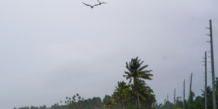 Waves from Ernesto hit the shoreline in Naguabo, Puerto Rico on August 14, 2024. ©AFP