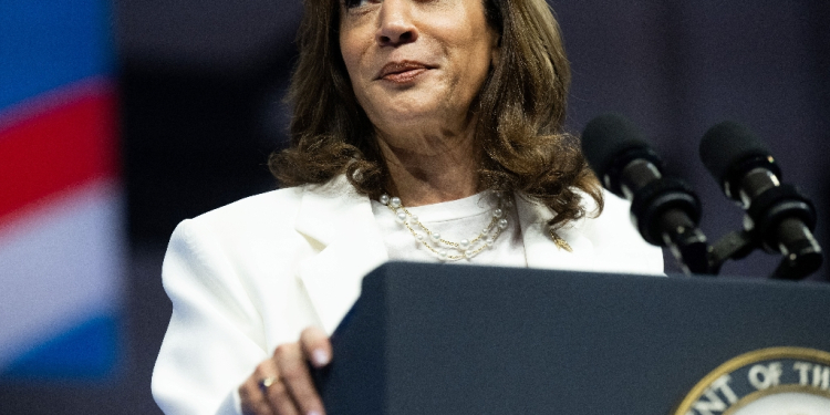 US Vice President Kamala Harris speaks at a campaign rally in Savannah, Georgia on August 29, 2024 / ©AFP