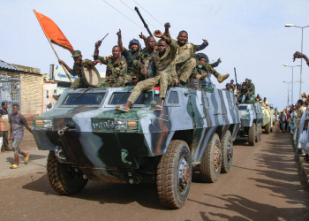 People cheer members of Sudan's armed forces taking part in a military parade held on Army Day / ©AFP