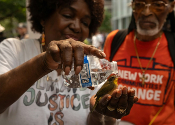 A participant gives water to a bird during a climate protest outside Citibank headquarters on August 16, 2024 in New York. ©AFP