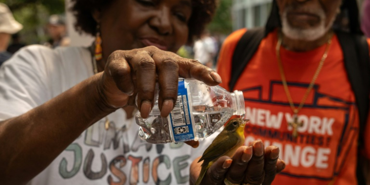 A participant gives water to a bird during a climate protest outside Citibank headquarters on August 16, 2024 in New York. ©AFP