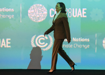 US Vice President Kamala Harris at the COP28 United Nations climate summit in Dubai on December 2, 2023 / ©AFP