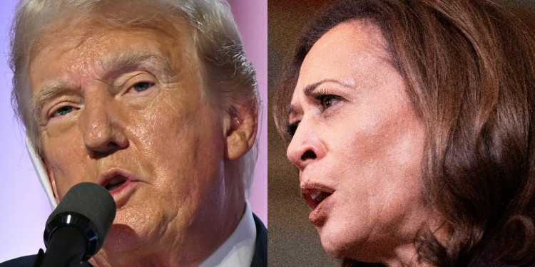 Donald Trump and Kamala Harris are sparring over where and when to debate -- if at all / ©AFP