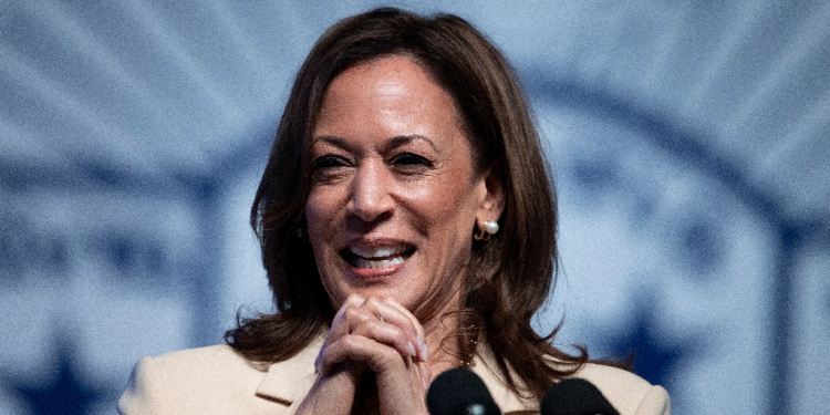 US Vice President and Democratic presidential candidate Kamala Harris has reportedly narrowed her VP pick to a choice between Josh Shapiro and Tim Walz / ©AFP