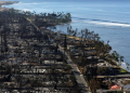 Wildfires that devastated the Hawaiian island of Maui a year ago moved so quickly some people plunged into the ocean to survive. ©AFP