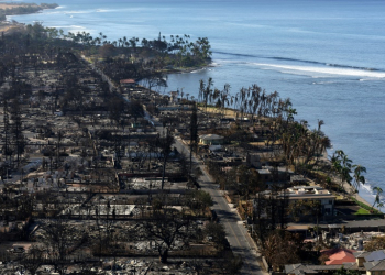 Wildfires that devastated the Hawaiian island of Maui a year ago moved so quickly some people plunged into the ocean to survive. ©AFP