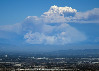 Thick columns of smoke rise above parts of Los Angeles from one of the three wildfires burning around the city. ©AFP