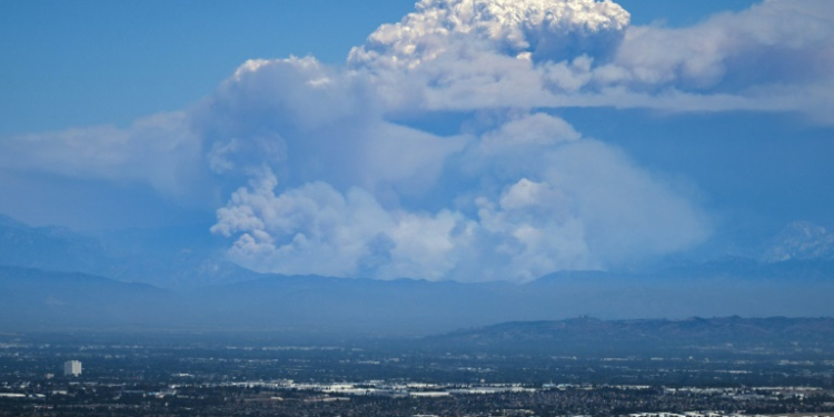 Thick columns of smoke rise above parts of Los Angeles from one of the three wildfires burning around the city. ©AFP