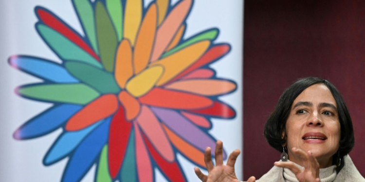 Colombian Minister of Environment, Susana Muhamad, speaks during the International Meeting of Indigenous Peoples of the Amazon Basin in Bogota on August 14, 2024. ©AFP