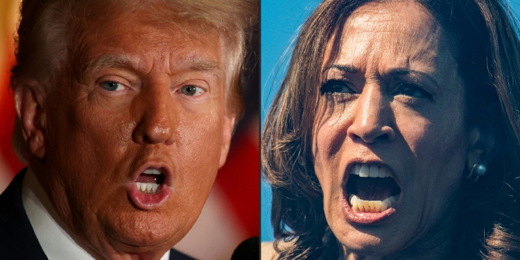 Former US president and Republican presidential candidate Donald Trump has never met US Vice President and Democratic presidential candidate Kamala Harris / ©AFP