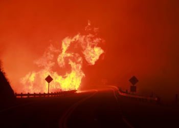 The Line Fire is among a number of blazes causing concern in the western United States. ©AFP