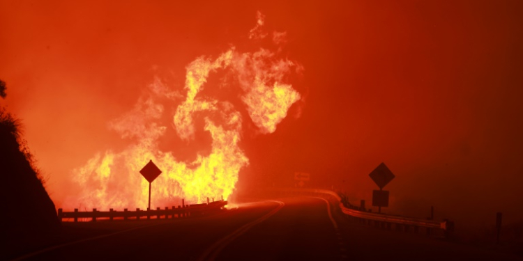 The Line Fire is among a number of blazes causing concern in the western United States. ©AFP