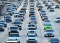 Freeways around Los Angeles are busy places, and California Highway Patrol officers don't recommend stopping to rescue stray cats. ©AFP