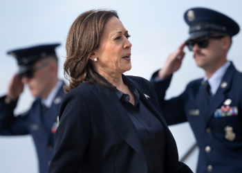 Kamala Harris is reaching out to male voters  / ©AFP