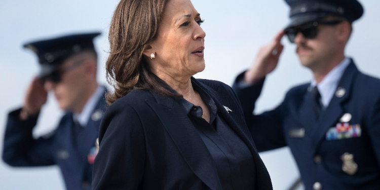 Kamala Harris is reaching out to male voters  / ©AFP