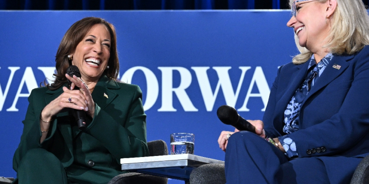 US Vice President and Democratic presidential candidate Kamala Harris (L) appeared alongside former Representative Liz Cheney, a prominent Republican / ©AFP