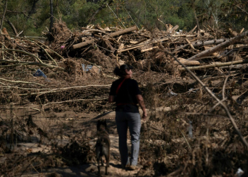 Cheryl Phillips and her cadaver dog Kite search for bodies in the aftermath of Hurricane Helene in Burnsville, North Carolina, on October 5, 2024. ©AFP