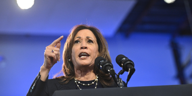 US Vice President and Democratic presidential nominee Kamala Harris will give her closing election arguments in a speech in front of the White House / ©AFP