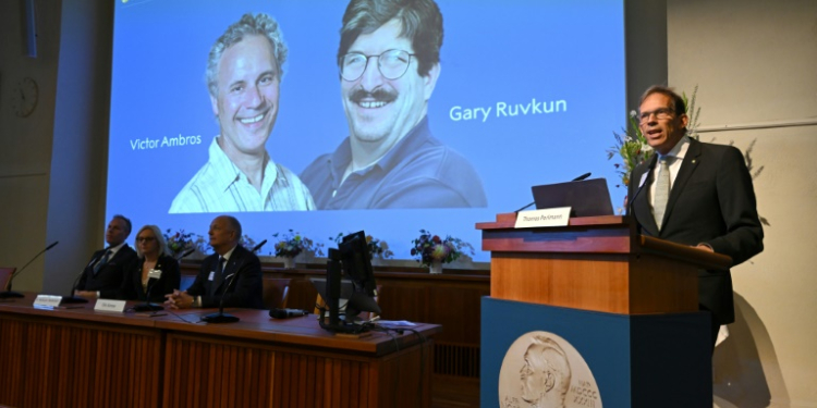 Victor Ambros and Gary Ruvkun won the Nobel for medicine for their discovery of microRNA . ©AFP