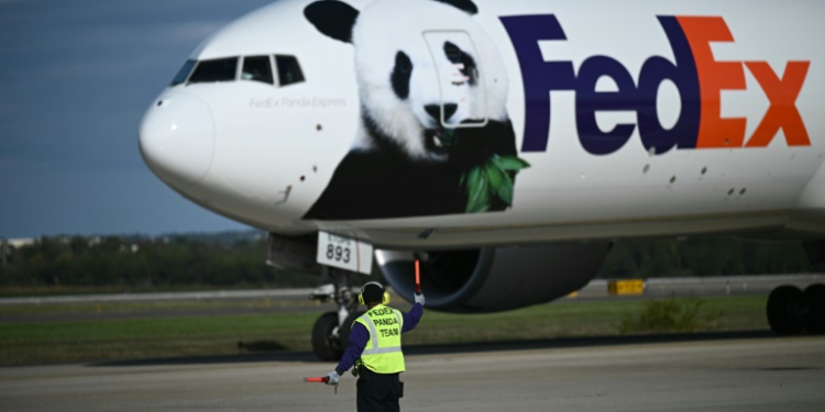 The pandas arrived at Washington's Dulles airport on a cargo jet operated by the FedEx courier company. ©AFP