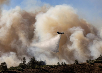 The Mountain Fire grew to burn over 20,000 acres (8,100 hectares) in the first two days, with towering flames leaping unpredictably and sending residents scrambling. ©AFP