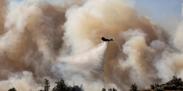 The Mountain Fire grew to burn over 20,000 acres (8,100 hectares) in the first two days, with towering flames leaping unpredictably and sending residents scrambling. ©AFP