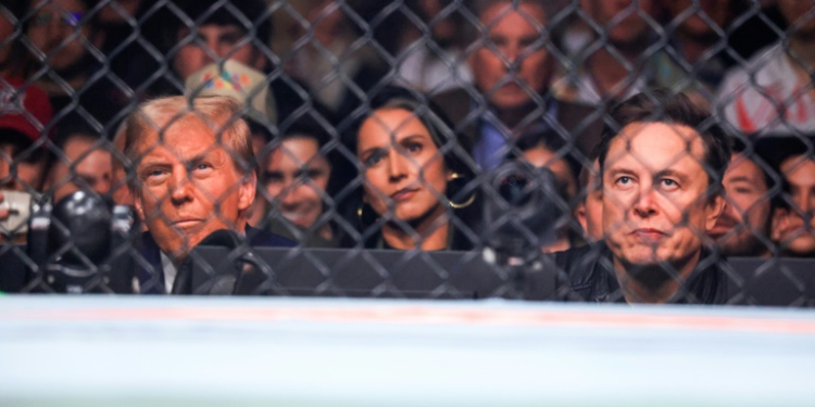 US President-elect Donald Trump and Tesla and SpaceX CEO Elon Musk watch a fight during UFC 309 at Madison Square Garden on Saturday. ©AFP