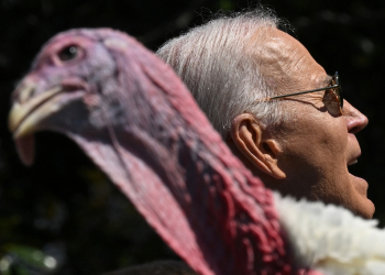 US President Joe Biden hosts traditional pardon of a Thanksgiving turkey / ©AFP