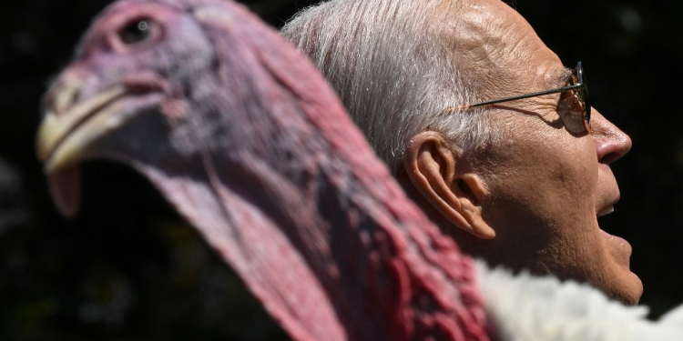 US President Joe Biden hosts traditional pardon of a Thanksgiving turkey / ©AFP