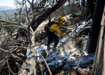 Dozens of homes have been lost to the Mountain Fire around the city of Camarillo in southern California. ©AFP