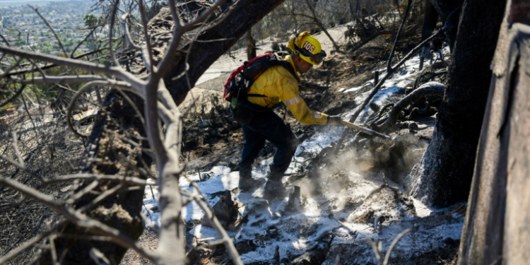 Dozens of homes have been lost to the Mountain Fire around the city of Camarillo in southern California. ©AFP