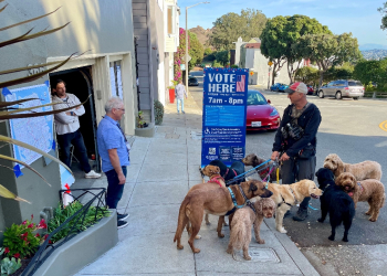 A dog walker stops by a garage converted into a polling station to chat with election workers in San Francisco / ©AFP