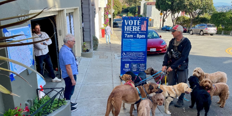 A dog walker stops by a garage converted into a polling station to chat with election workers in San Francisco / ©AFP