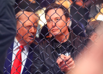 Trump and Musk watched a UFC bout in New York together at the weekend  / ©AFP