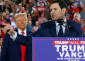 Florida Senator Marco Rubio campaigned hard for Donald Trump, and was at one point a potential pick to be his vice president  / ©AFP