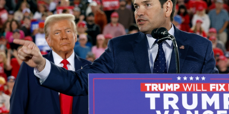 Florida Senator Marco Rubio campaigned hard for Donald Trump, and was at one point a potential pick to be his vice president  / ©AFP