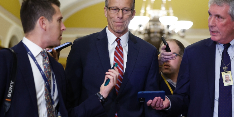 Republican Senator John Thune (C) is the chamber's new majority leader / ©AFP