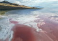 Great Salt Lake in Utah is one of the largest bodies of landlocked salt water in the world, but park managers say it is not a good place to brine a turkey. ©AFP